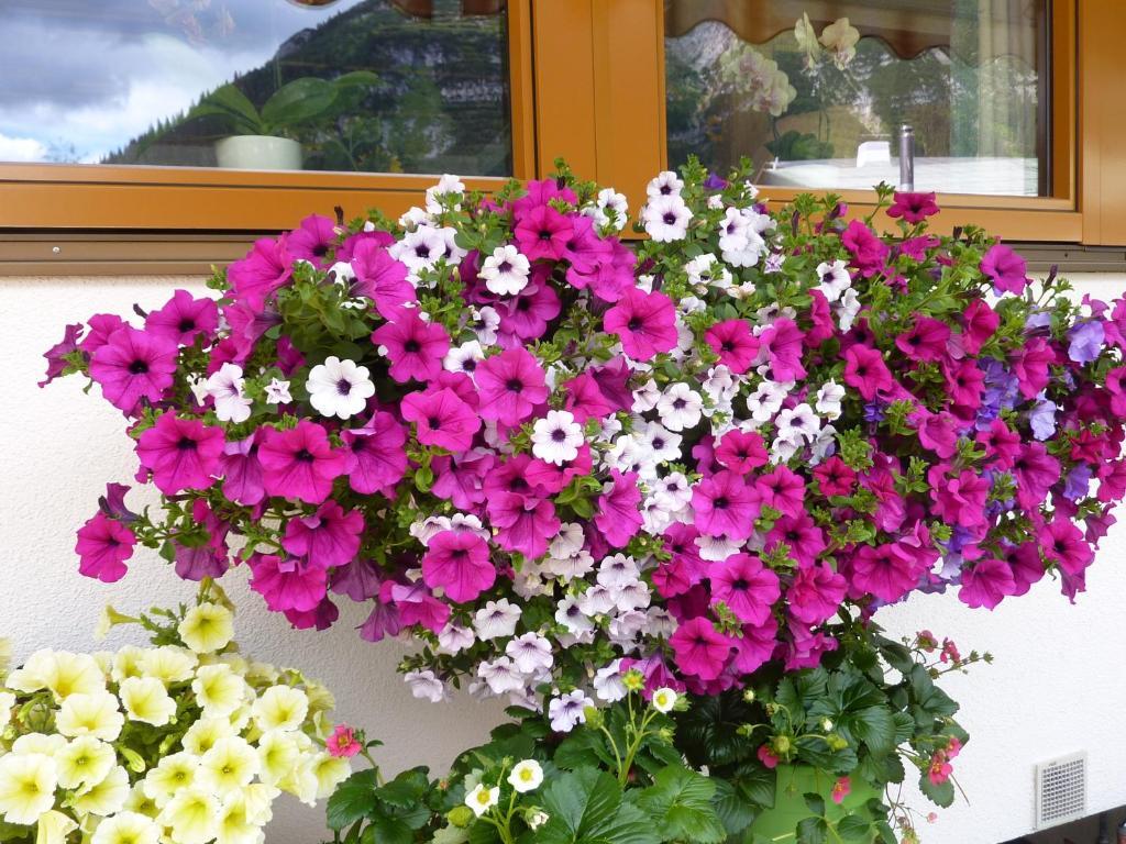 Haus Odo Hotell Lech am Arlberg Exteriör bild